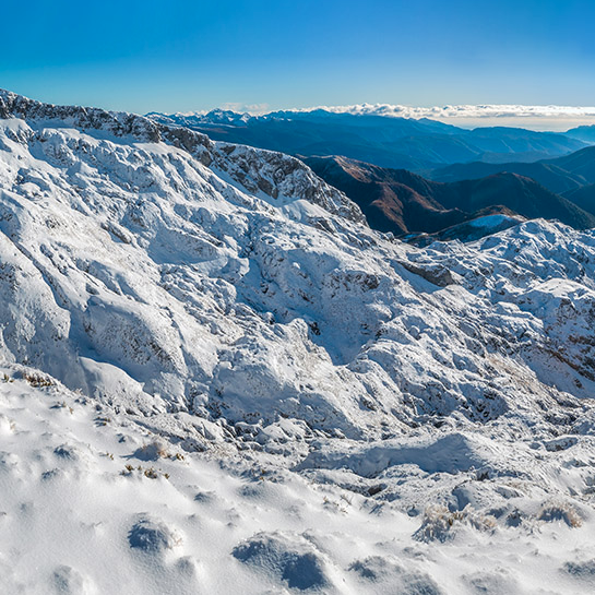The gifts of winter